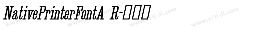 NativePrinterFontA R字体转换
